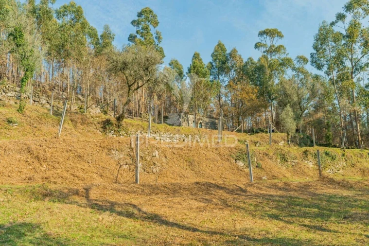 Terreno para Venda em Valdosende Foto 18