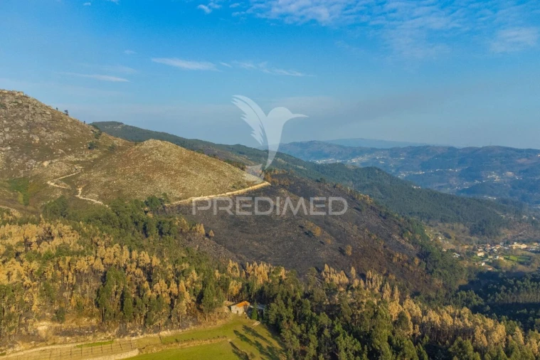 Terreno para Venda em Valdosende Foto 22