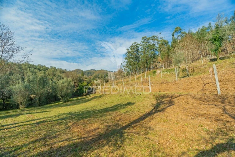 Terreno para Venda em Valdosende Foto 17