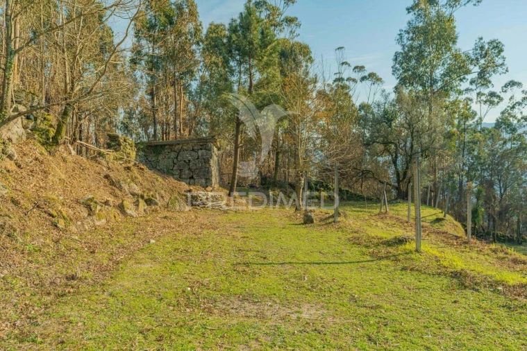 Terreno para Venda em Valdosende Foto 13