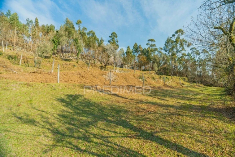 Terreno para Venda em Valdosende Foto 21