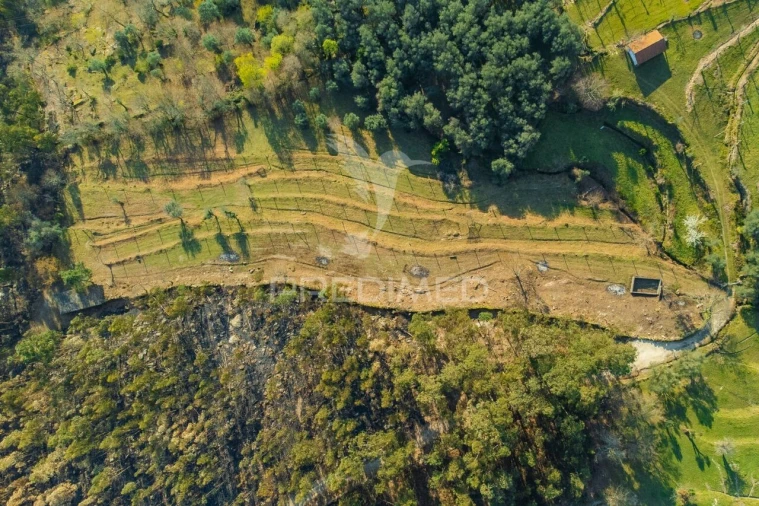 Terreno para Venda em Valdosende Foto 5