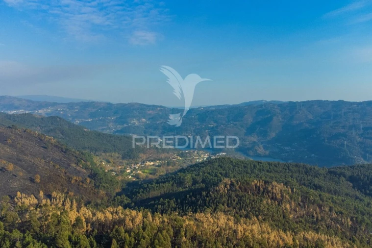 Terreno para Venda em Valdosende Foto 8