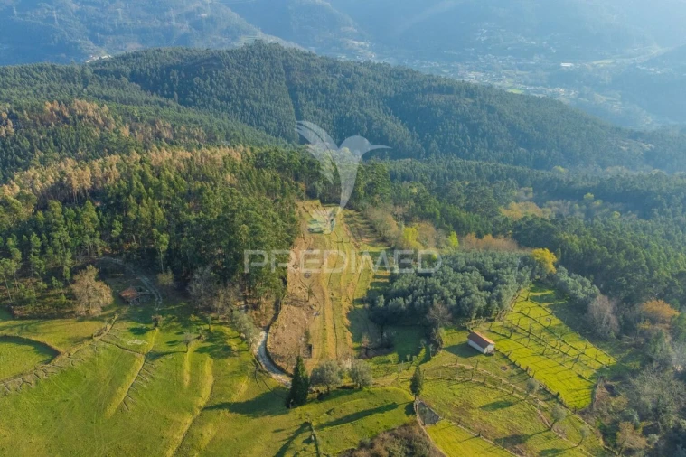Terreno para Venda em Valdosende Foto 24
