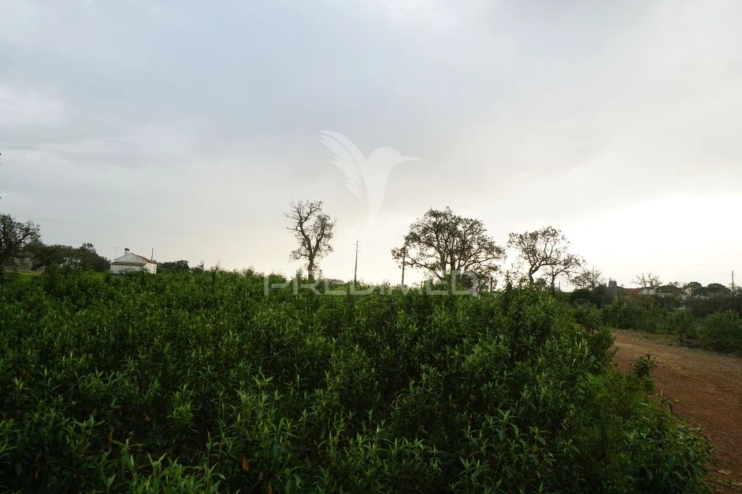 Terreno para Venda em São Francisco da Serra Foto 12