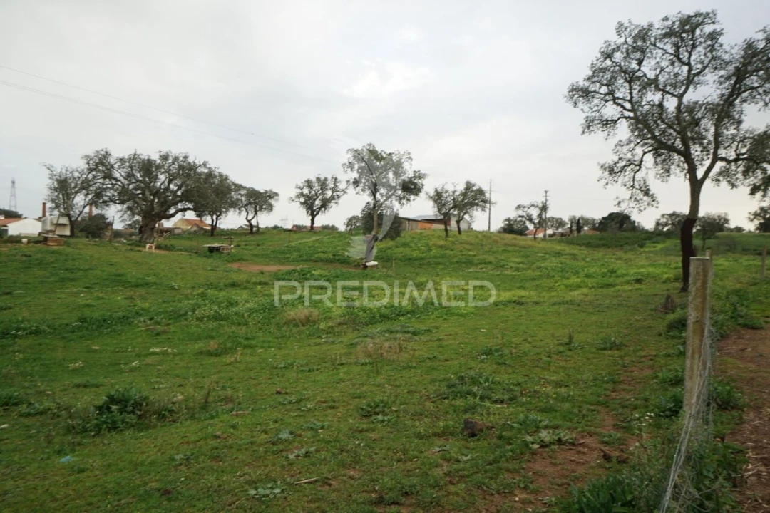 Terreno para Venda em São Francisco da Serra Foto 5