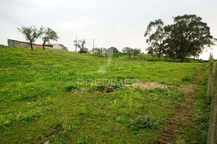 Terreno para Venda em São Francisco da Serra Foto 6