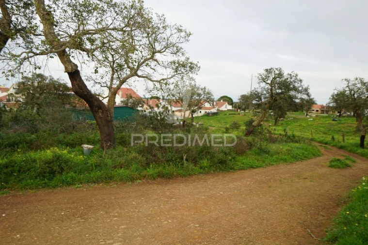 Terreno para Venda em São Francisco da Serra Foto 11