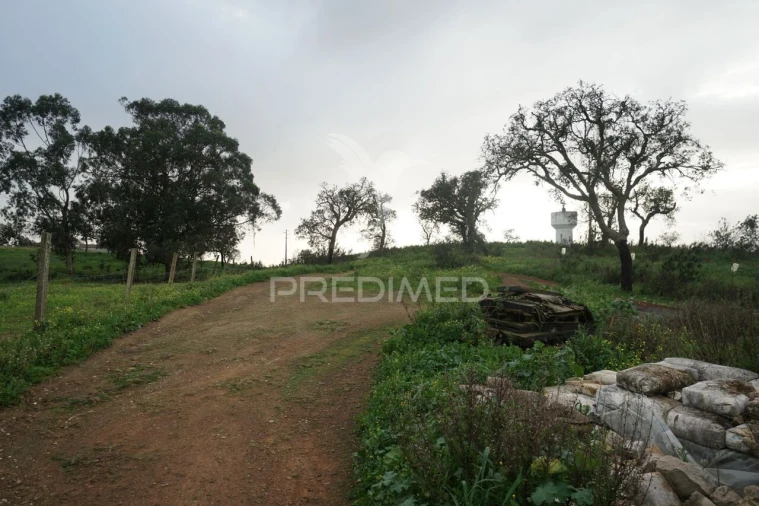 Terreno para Venda em São Francisco da Serra Foto 8