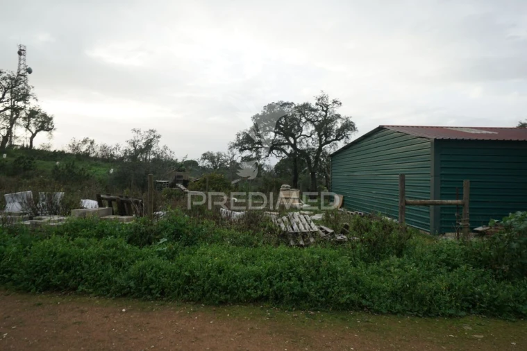 Terreno para Venda em São Francisco da Serra Foto 7