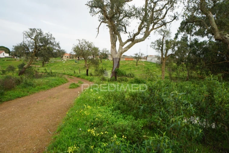Terreno para Venda em São Francisco da Serra Foto 10