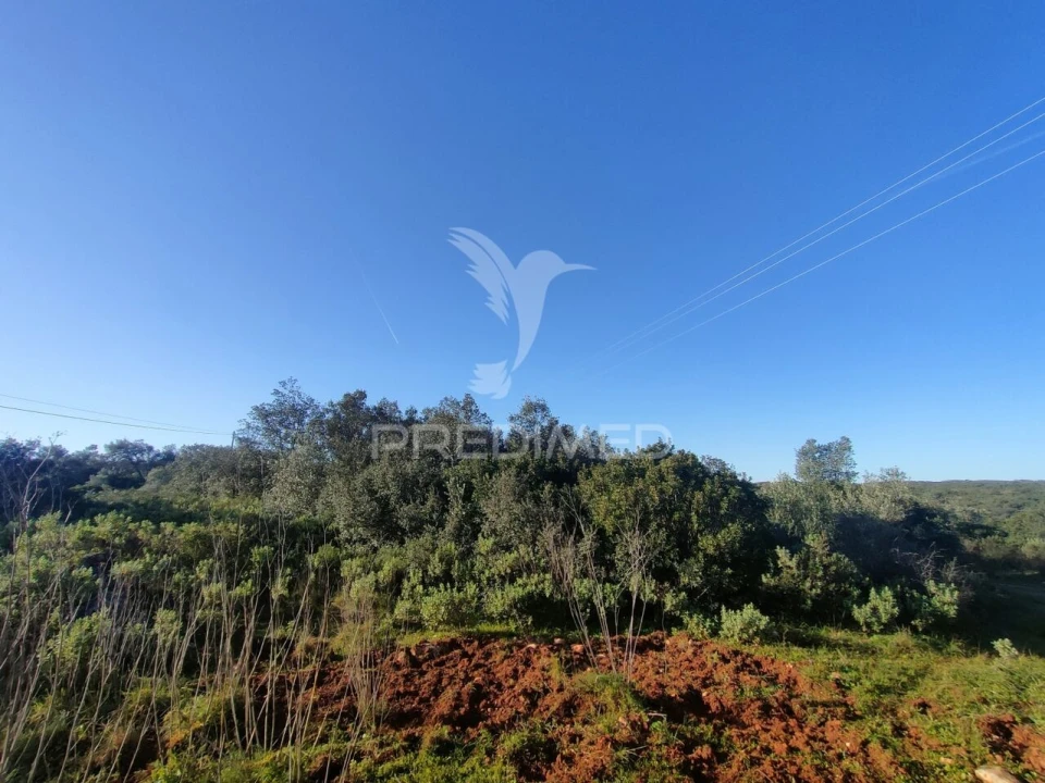 Terreno para Venda em Monsanto Foto 7