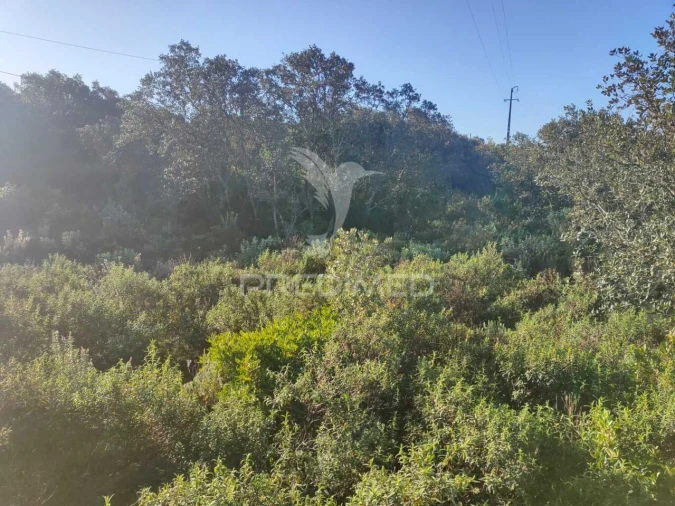 Terreno para Venda em Monsanto Foto 12