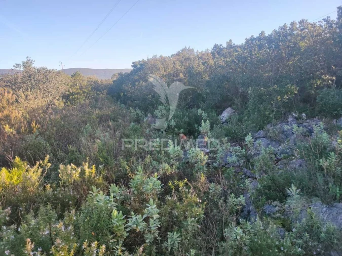 Terreno para Venda em Monsanto Foto 13