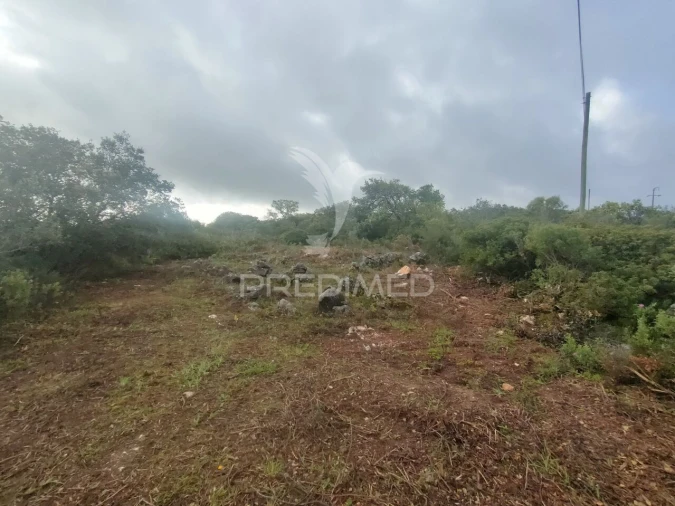 Terreno para Venda em Monsanto Foto 14