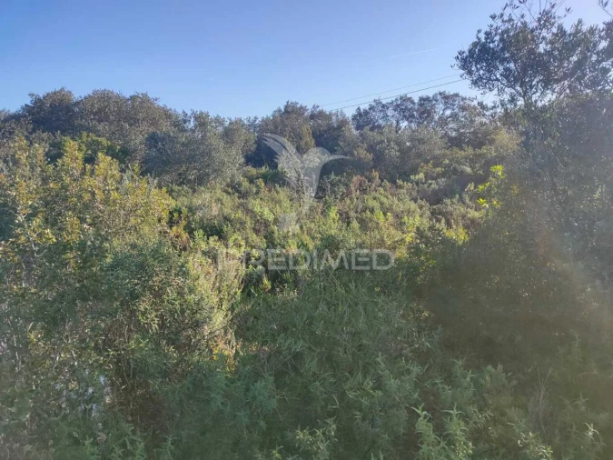 Terreno para Venda em Monsanto Foto 11