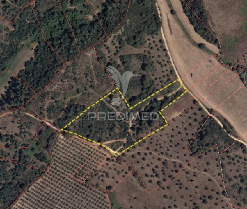 Terreno para Venda em Monsanto Foto 7