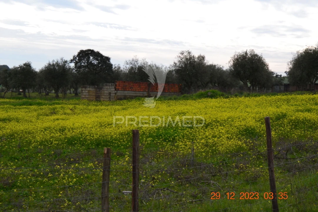 Terreno para Venda em Ciladas Foto 3