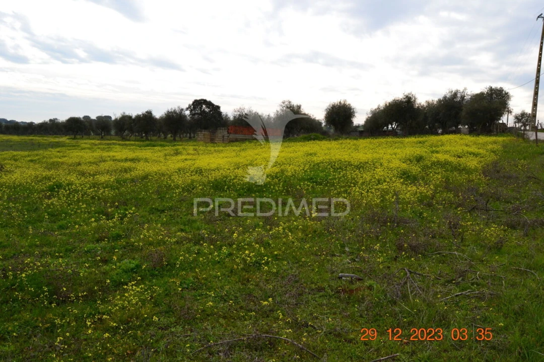 Terreno para Venda em Ciladas Foto 7