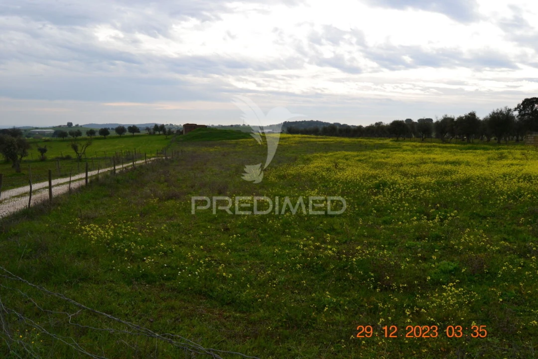 Terreno para Venda em Ciladas Foto 5