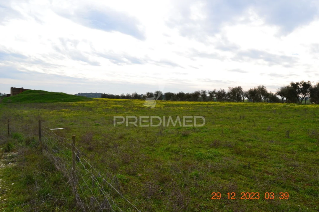 Terreno para Venda em Ciladas Foto 17