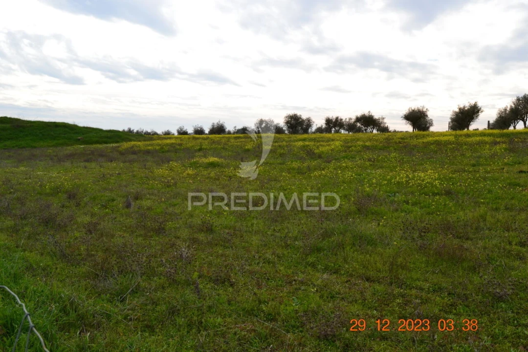 Terreno para Venda em Ciladas Foto 14