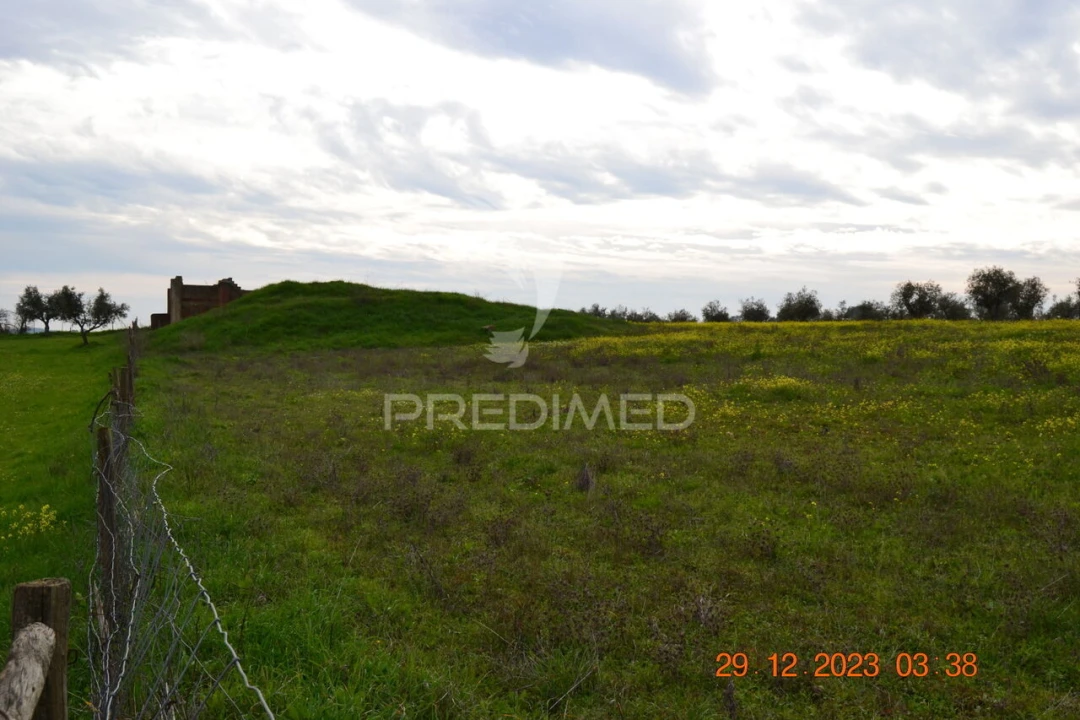 Terreno para Venda em Ciladas Foto 13