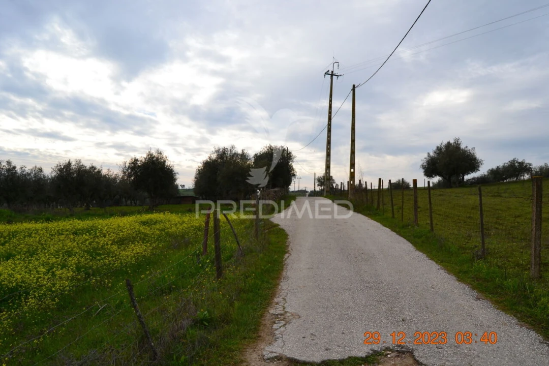Terreno para Venda em Ciladas Foto 20