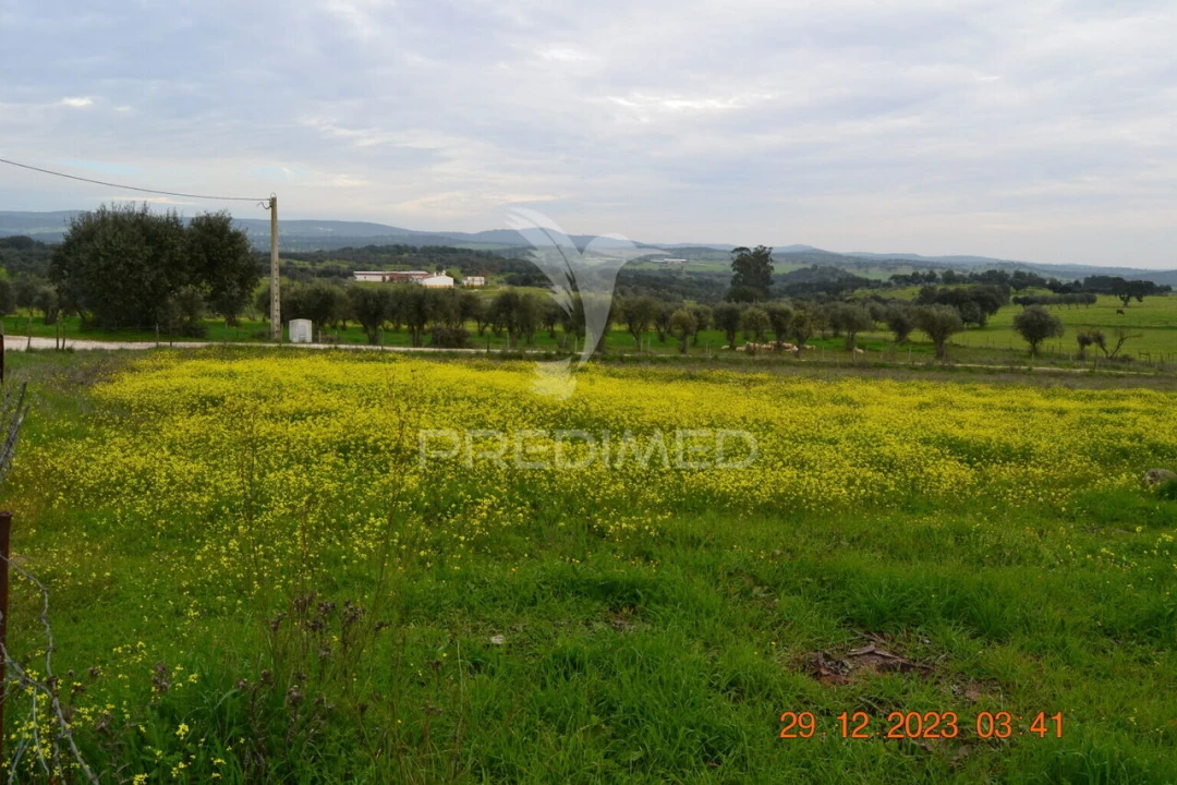 Terreno para Venda em Ciladas Foto 11