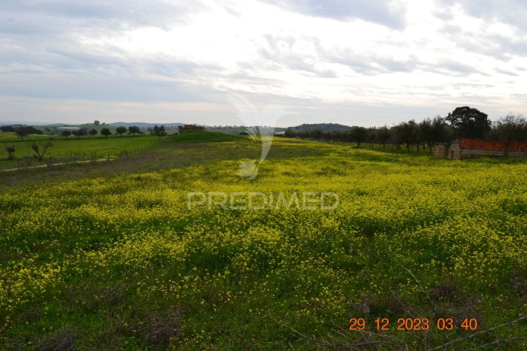 Terreno para Venda em Ciladas Foto 19