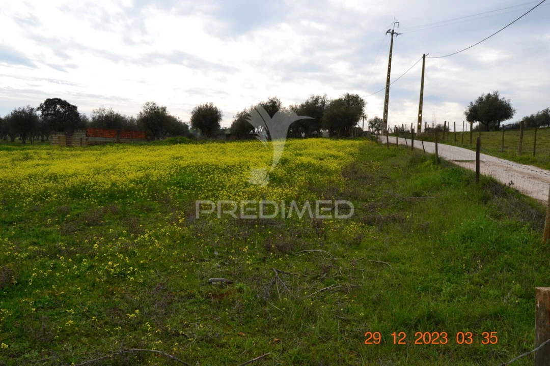 Terreno para Venda em Ciladas Foto 8