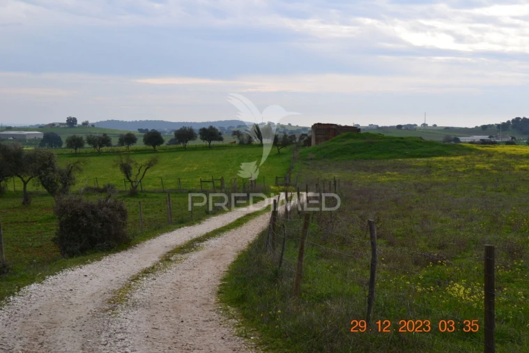 Terreno para Venda em Ciladas Foto 4