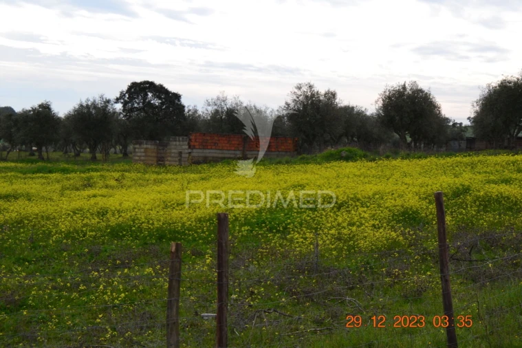 Terreno para Venda em Ciladas Foto 3