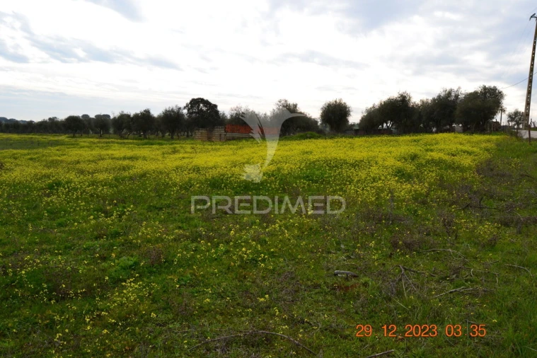 Terreno para Venda em Ciladas Foto 7