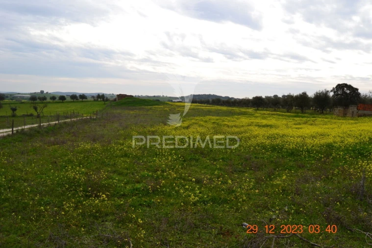 Terreno para Venda em Ciladas Foto 18
