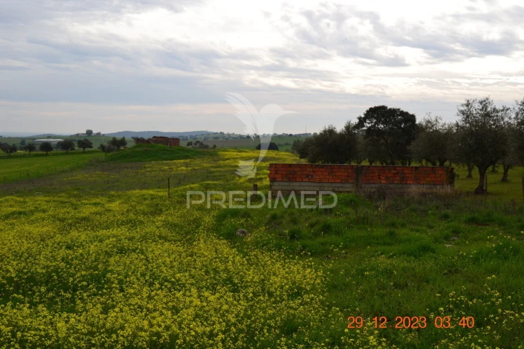 Terreno para Venda em Ciladas Foto 10