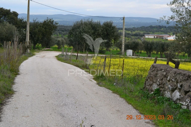Terreno para Venda em Ciladas Foto 2