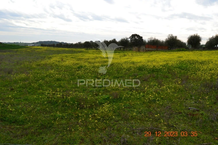 Terreno para Venda em Ciladas Foto 6