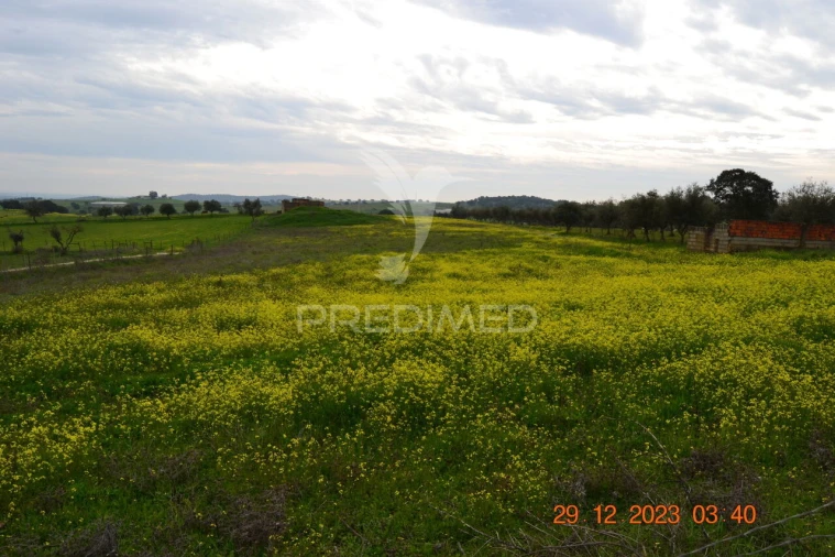 Terreno para Venda em Ciladas Foto 19