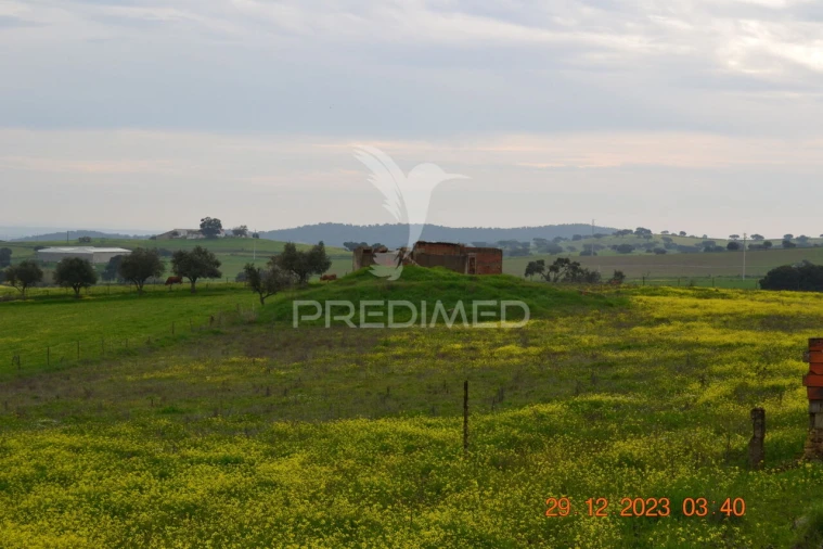 Terreno para Venda em Ciladas Foto 9