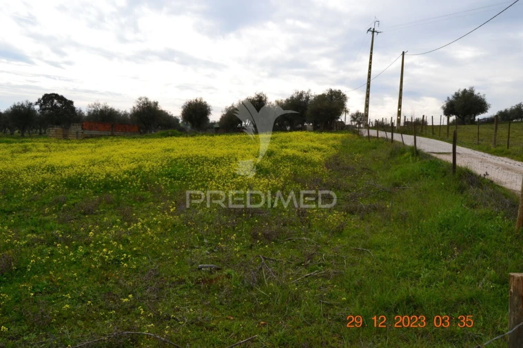 Terreno para Venda em Ciladas Foto 8