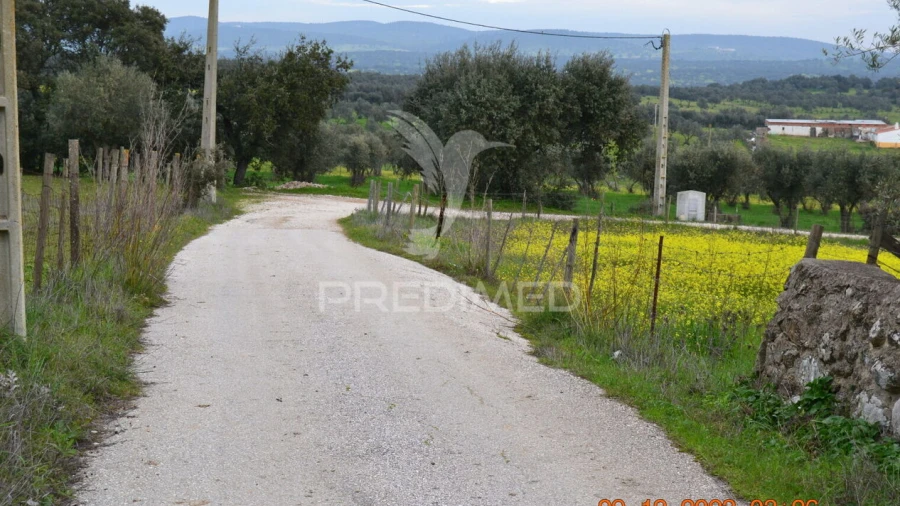 Terreno para Venda em Ciladas