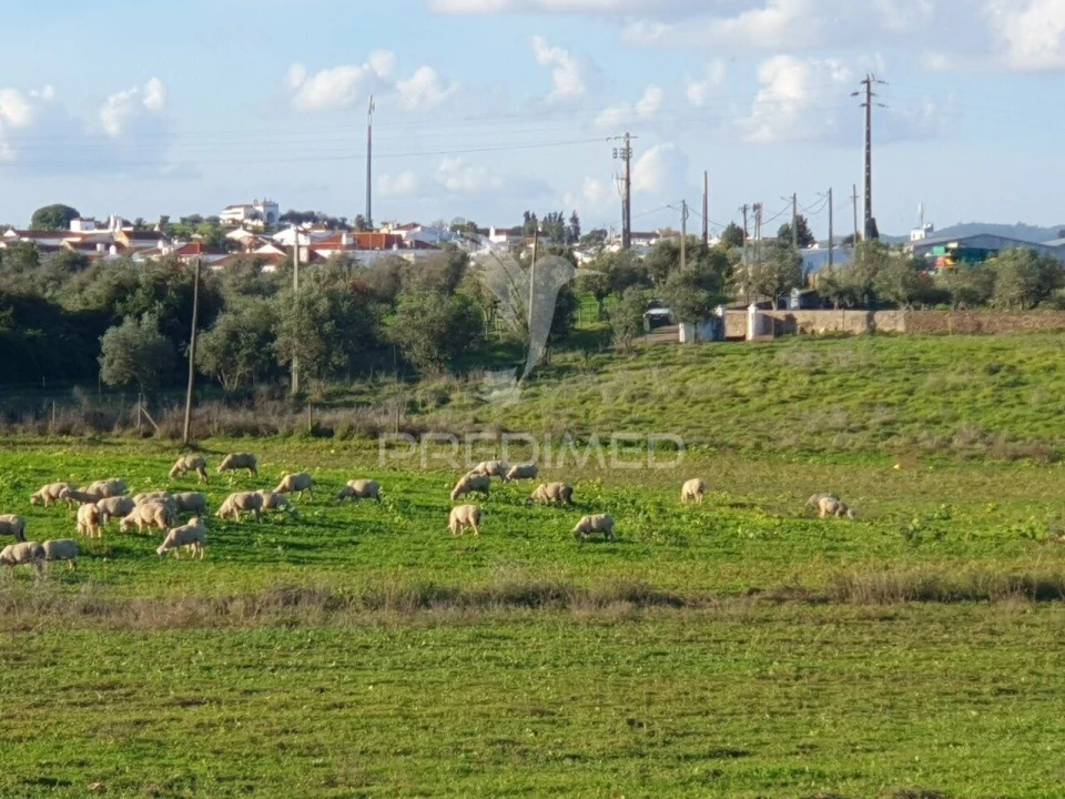 Quinta T1 para Venda em Redondo Foto 4