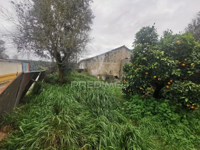 Moradia T2 para Venda em Golegã Foto 17