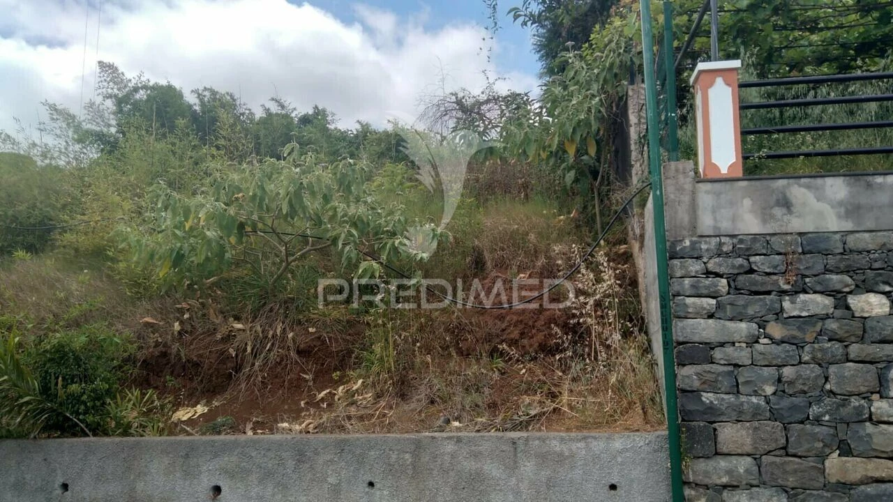 Terreno para Venda em Porto da Cruz Foto 3