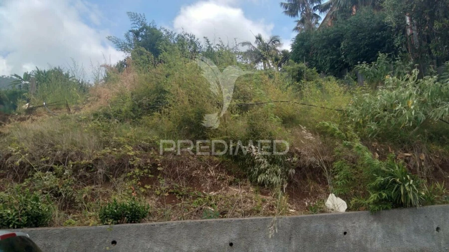 Terreno para Venda em Porto da Cruz Foto 2