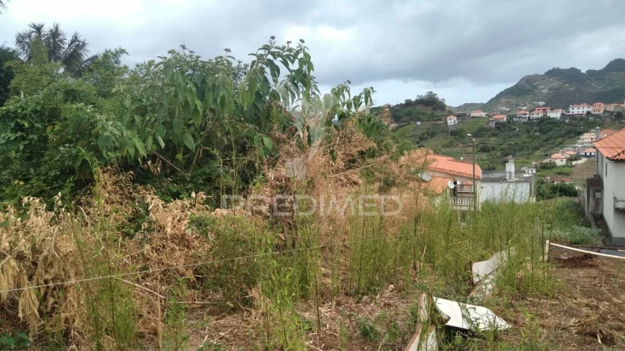 Terreno para Venda em Porto da Cruz Foto 5