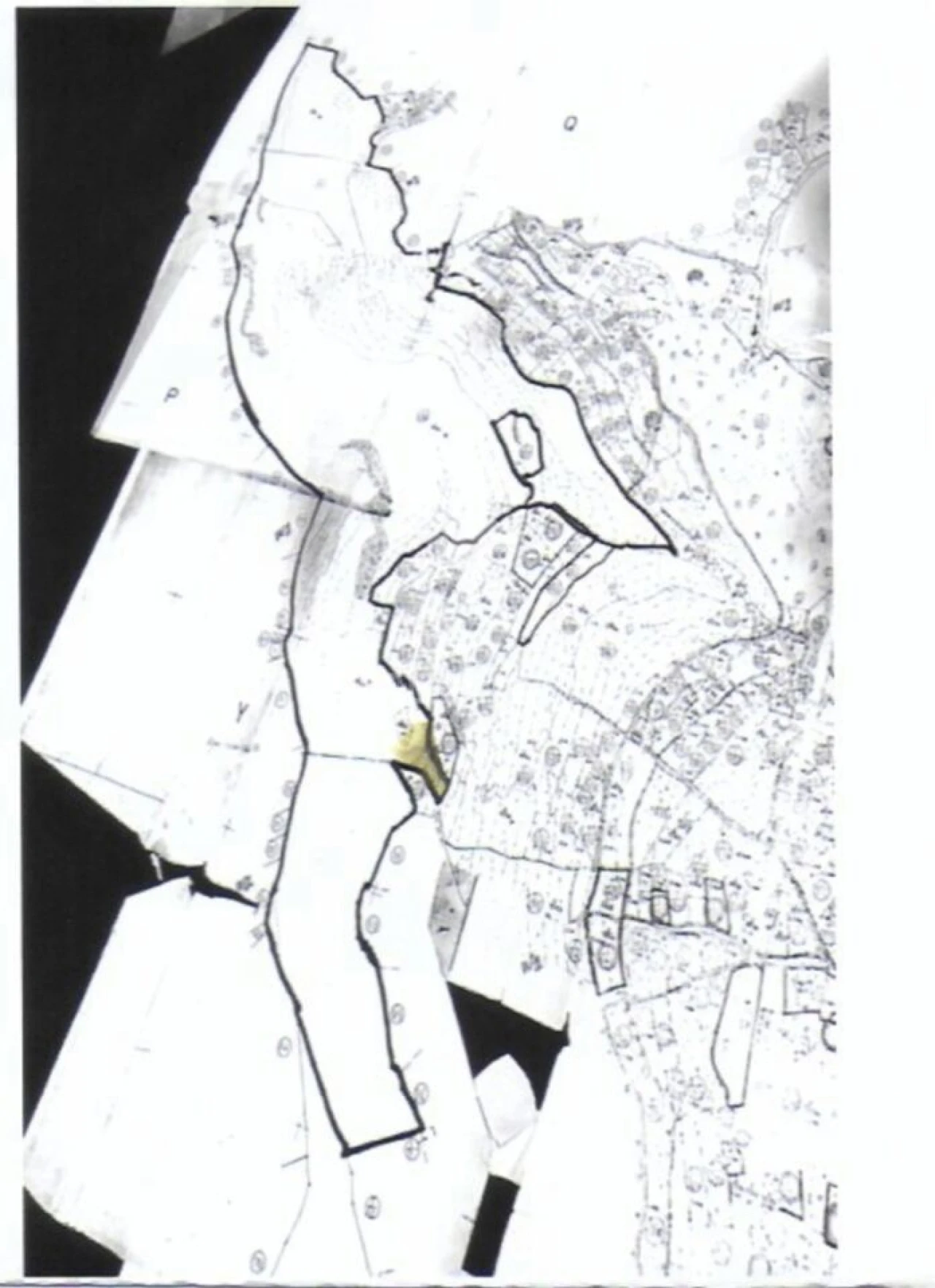 Terreno para Venda em Machico Foto 5