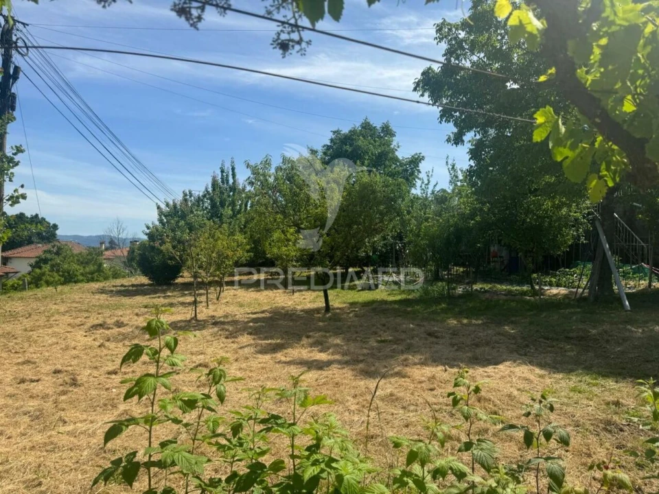 Moradia T3 para Venda em Pico Foto 20