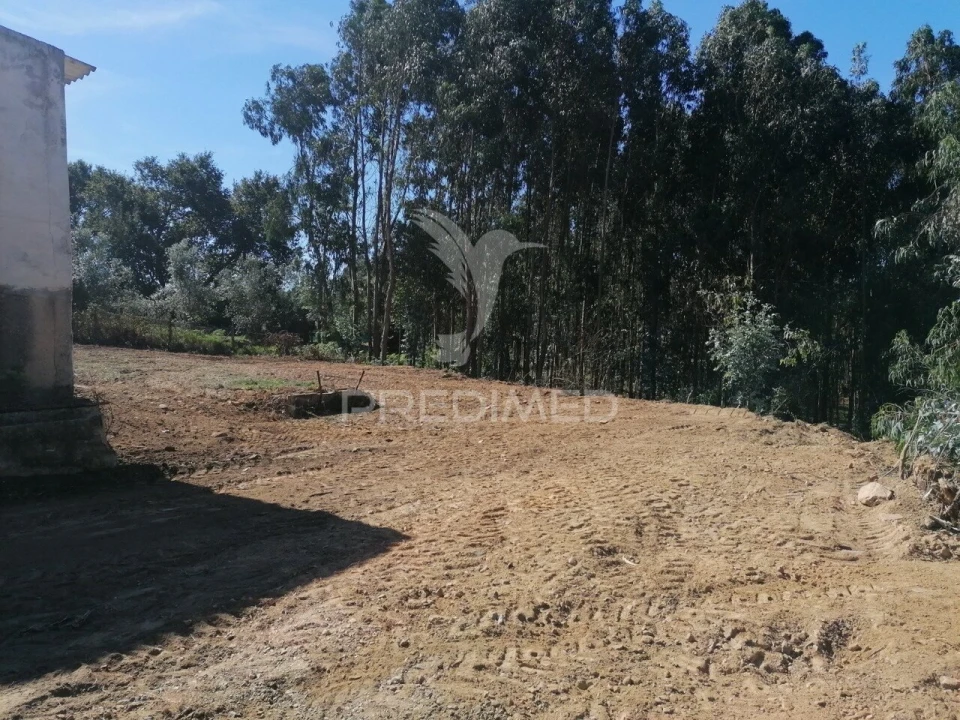 Terreno para Venda em Valongo do Vouga Foto 8